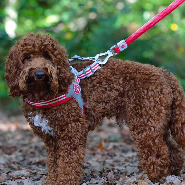 Hugo & Hudson – wholesale Pet harness – Dog – Easy Walk V Dog Harness - Red
