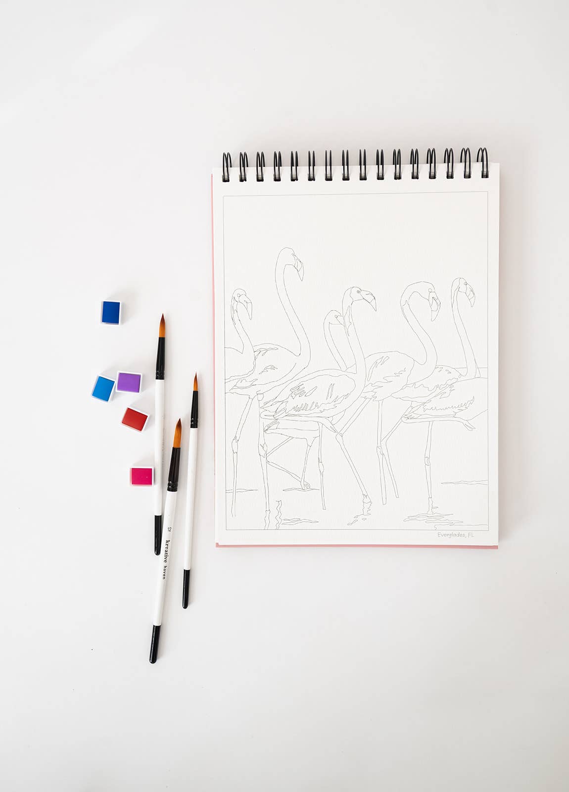 Bailey Rae Studio - Wholesale Watercolor Paint - National Parks Watercoloring Book-Outlines w/Video Tutorials7