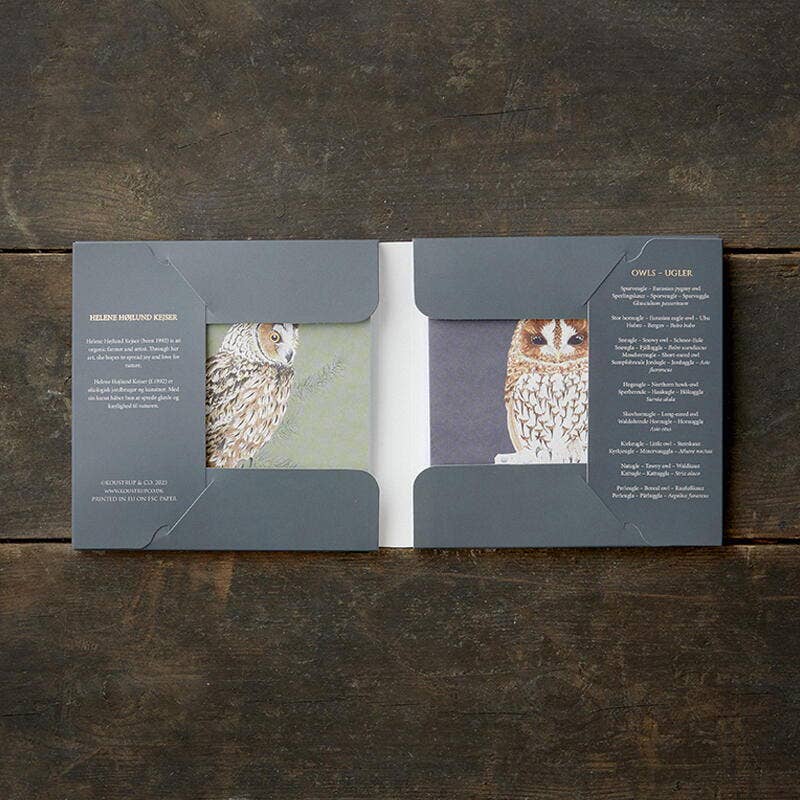 Koustrupco – Engroshandel Brevpapir/sæt med noteskort – UGLER - firkantede kort1