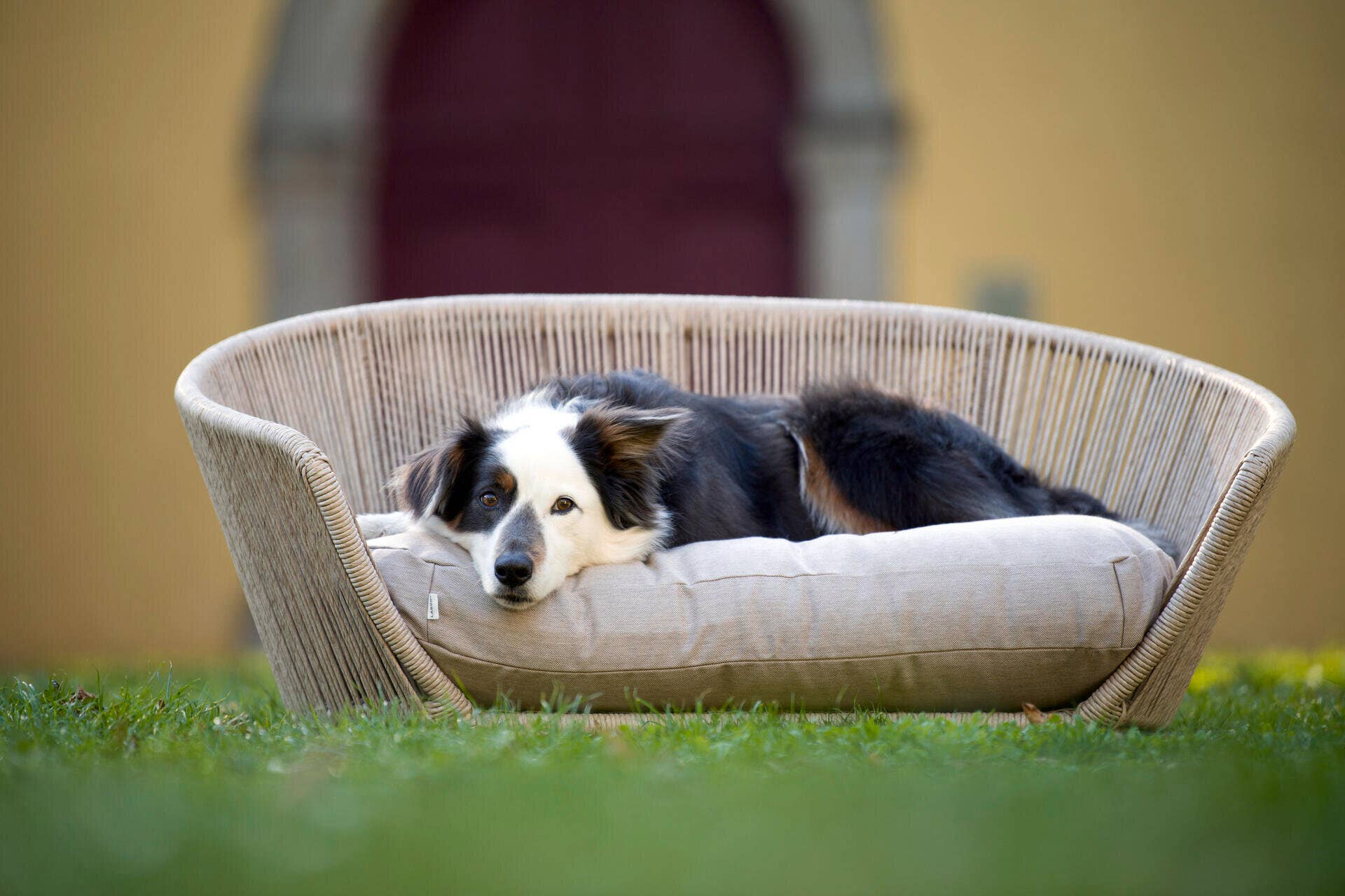 LABONI - Volentis GmbH - Wholesale Pet Bed - Dog - Vogue Design Smooth Dog Bed Collection6