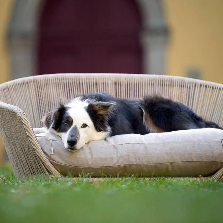 LABONI - Volentis GmbH - Wholesale Pet Bed - Dog - Vogue Design Smooth Dog Bed Collection6