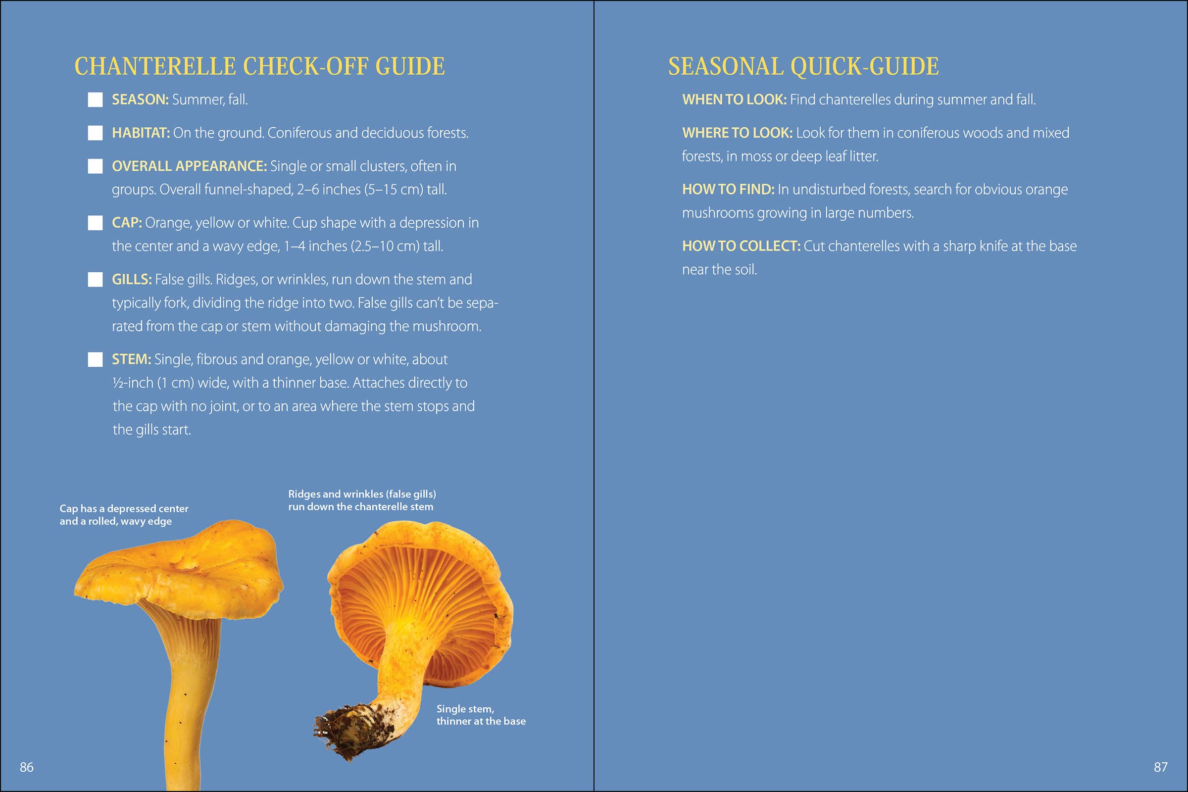 AdventureKEEN - Vente Nature et plein air - Commencez Champignon 2e4