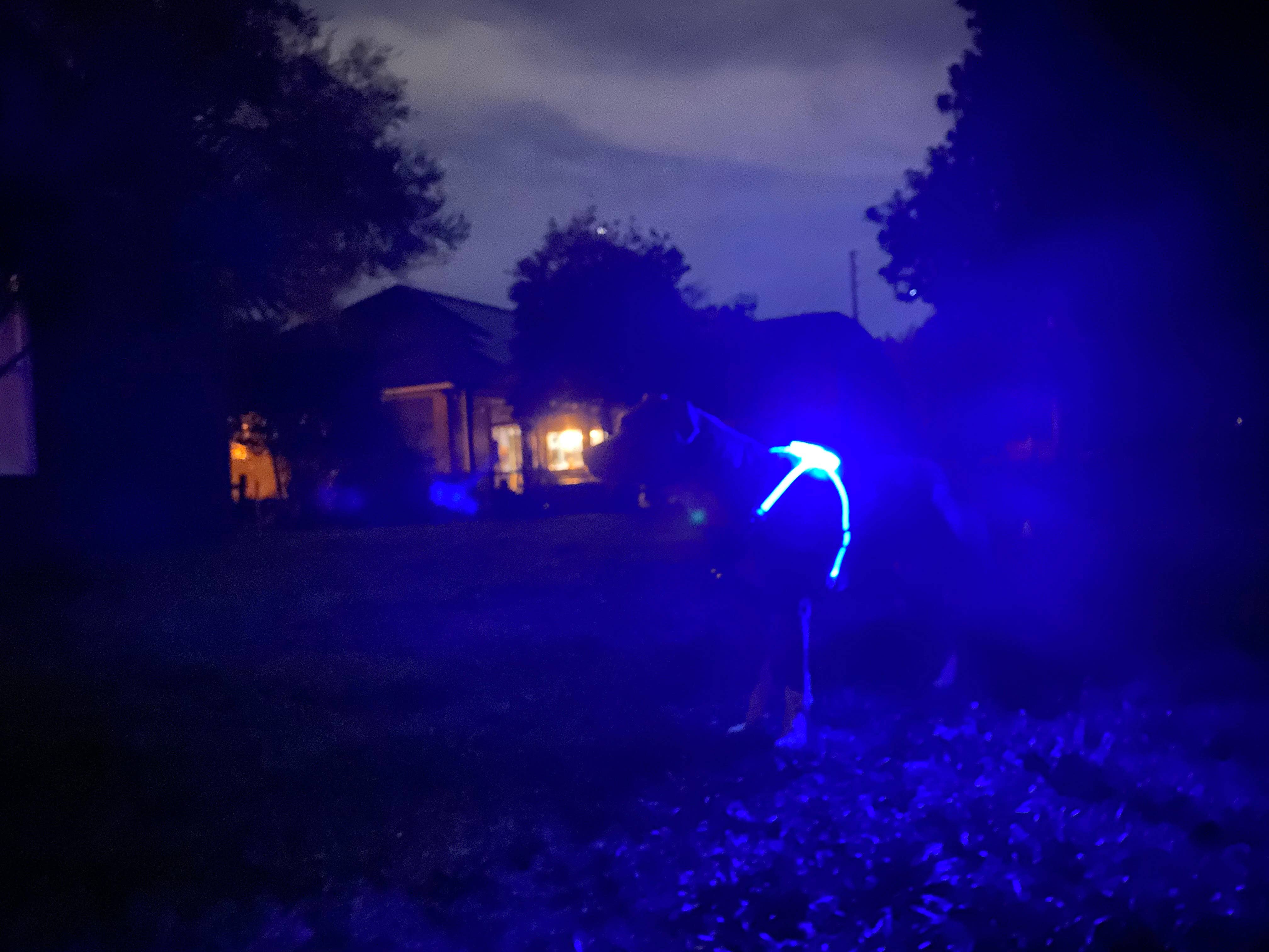 Puppy LED - Venta al por mayor Arnés - Perros - Arnés para perro con luces LED18