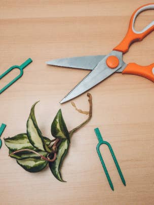 Propagation Pins for wholesale by CMbeautifuldesigns