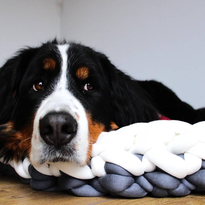 woolexperts - Vendita all'ingrosso Letto - Cani - Copertura per cuccia per cani XXL fatta a mano su misura a maglia grossa