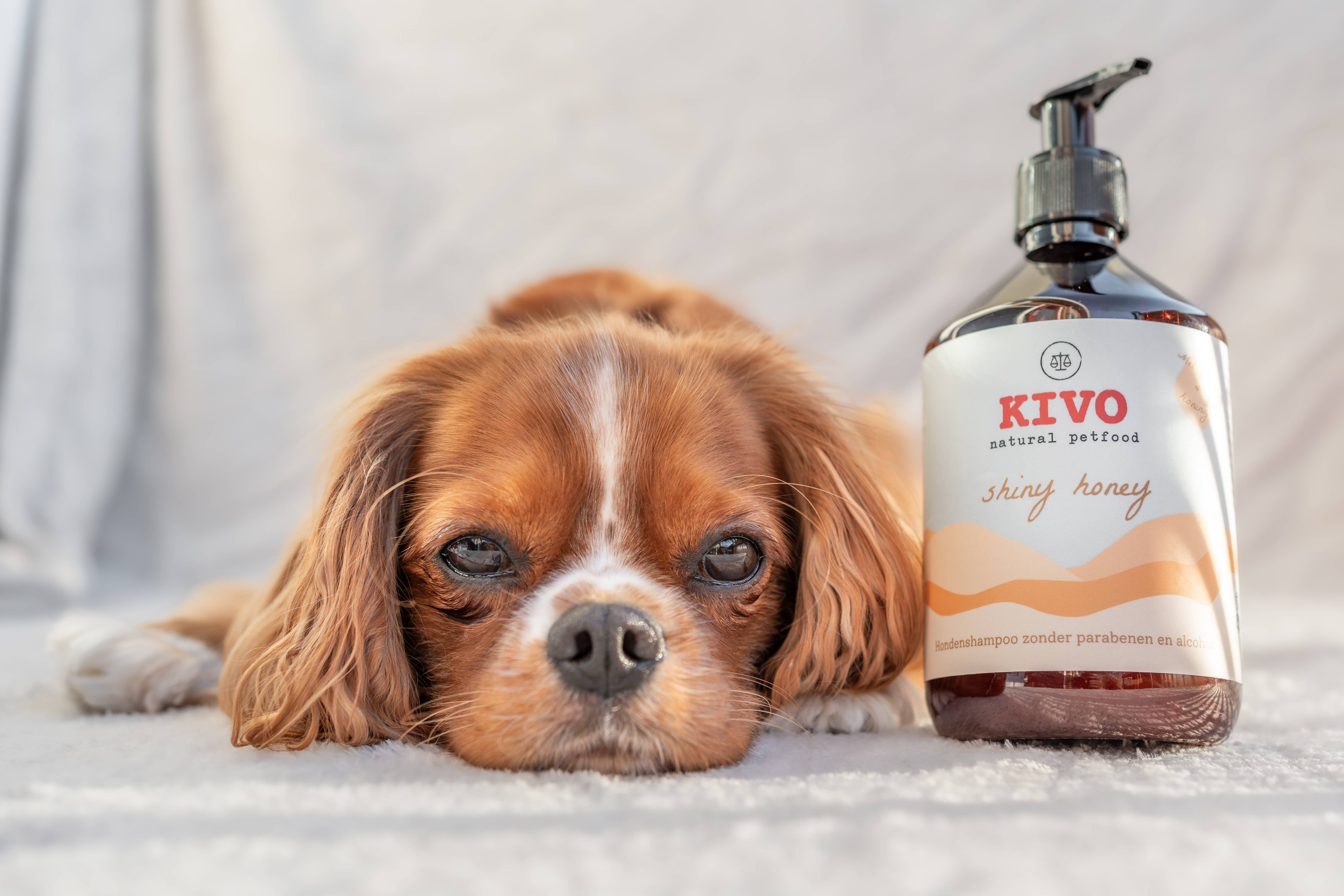 Kivo Petfood - Wholesale Pet Shampoo - Dog - Shiny Honey - 500 ml - Paraben-free & pH neutral2