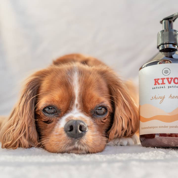 Kivo Petfood - Wholesale Pet Shampoo - Dog - Shiny Honey - 500 ml - Paraben-free & pH neutral2