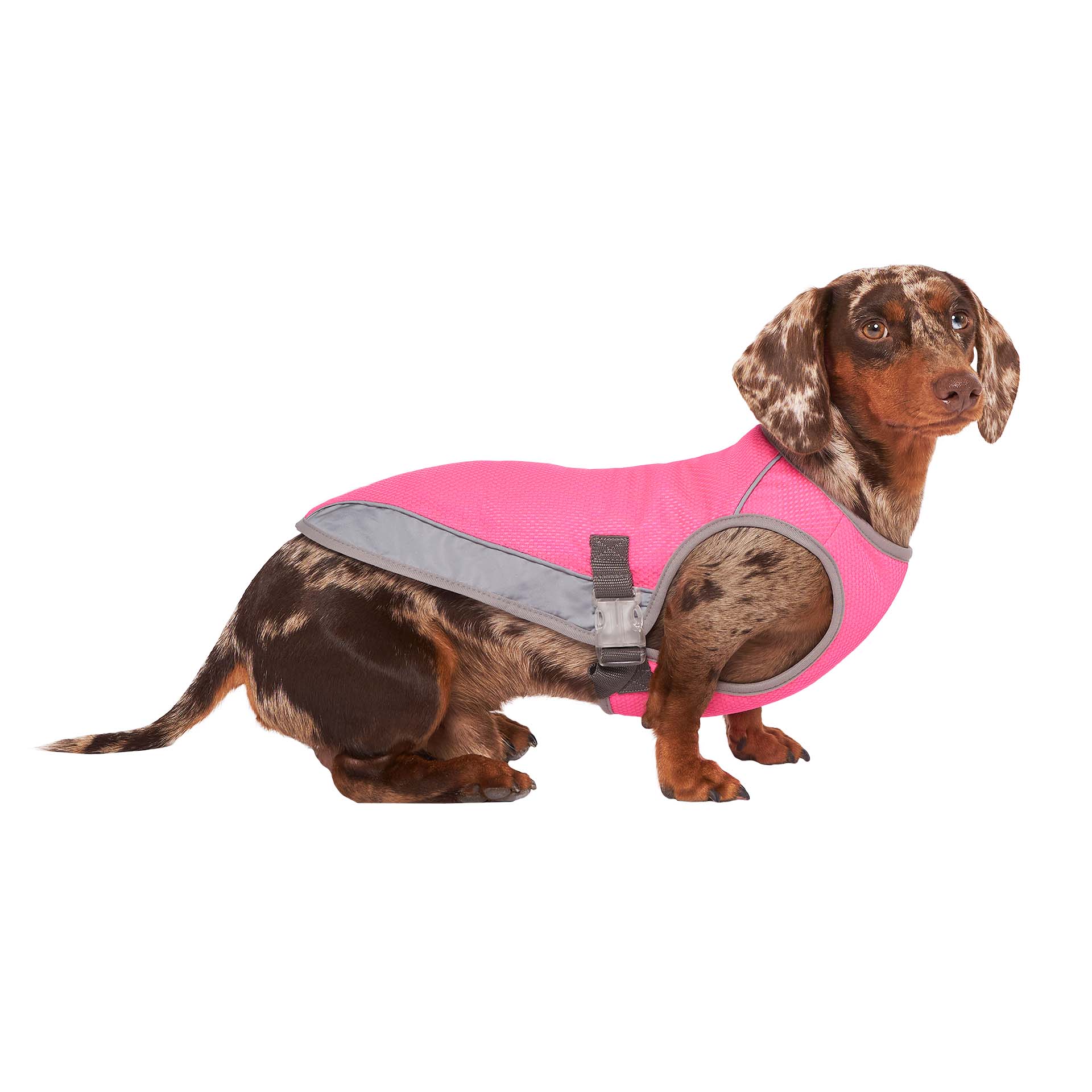 Neon Lyserød Chill Seeker hundekølevest (Neon Pink) for engroshandel på Faire2