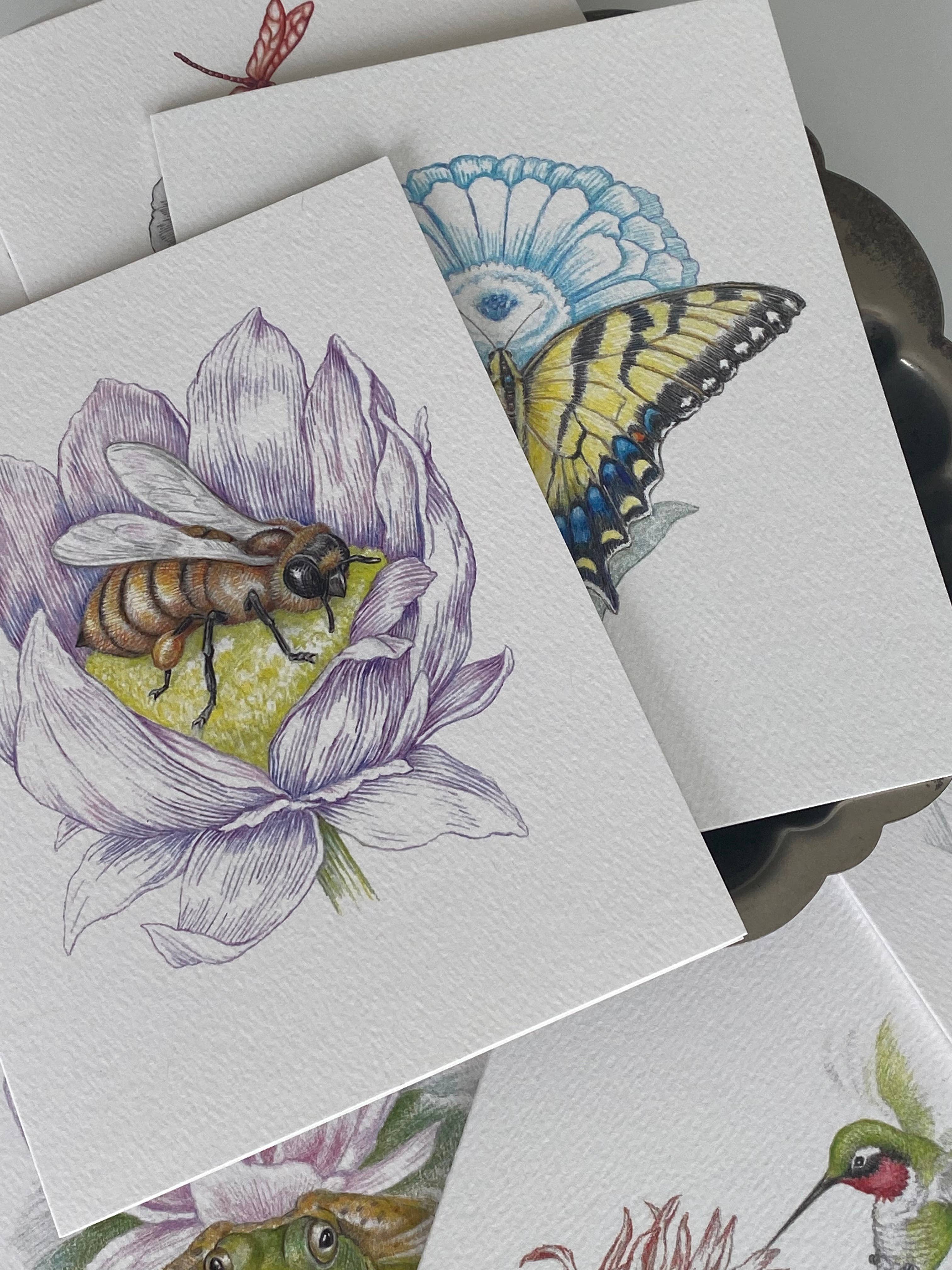 REMOVED BRAND - Wholesale Stationery/Notecard Set - Garden Pollinator Bee - Boxed Set2