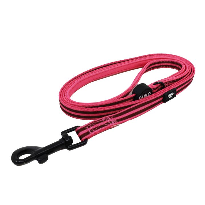 Blushing Stripes: Cat Leash for wholesale by Pablo & Co. Boutique