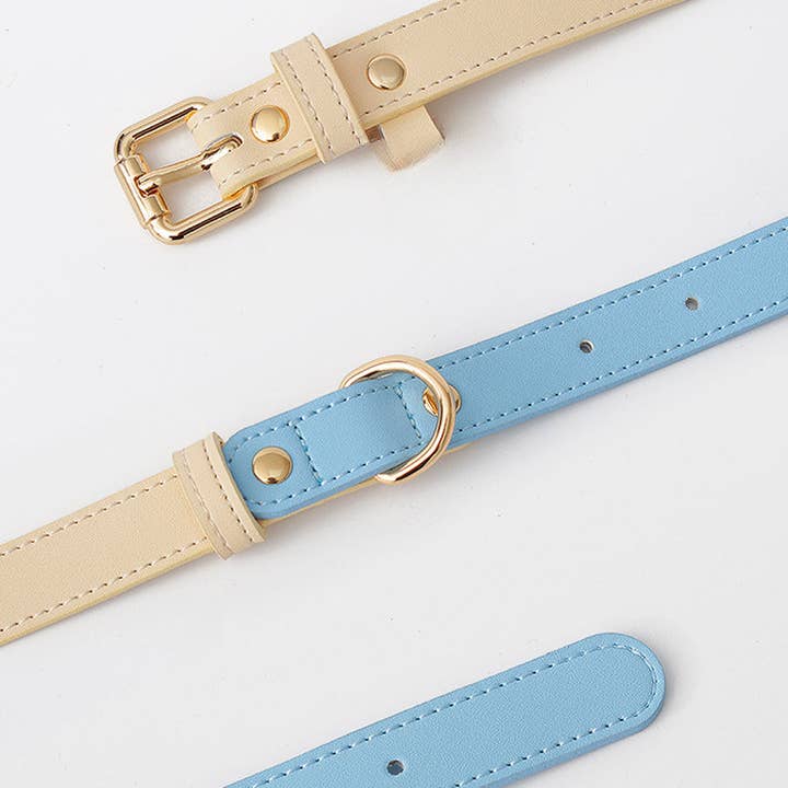 Cheerhunting - Wholesale Pet Collar - Dog - Loofie - Colorful Leather Dog Collar8