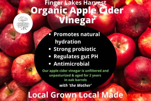 Finger Lakes Harvest – Großhandel Soda/kohlensäurehaltiges Getränk – Erdbeer-Strauch3