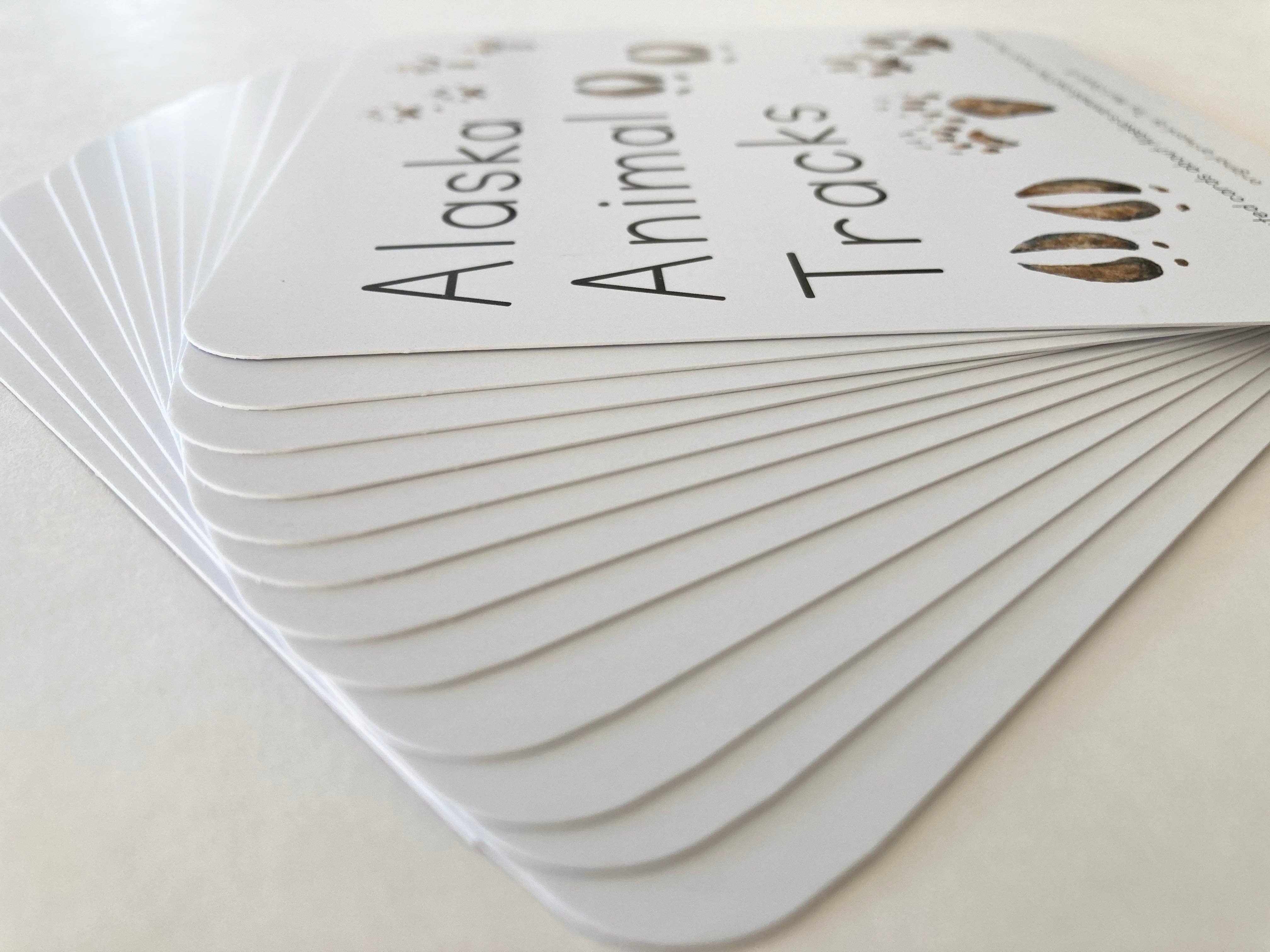 Tiny Nest Studio - Vendita all'ingrosso Carte didattiche - Bambini e neonati - Schede didattiche Alaska Animal Tracks7