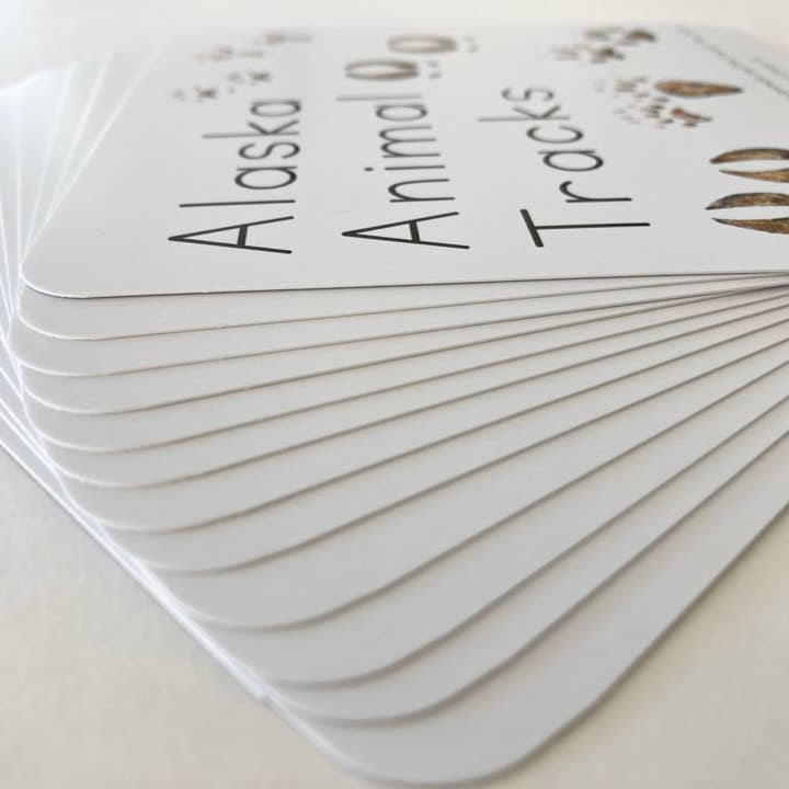 Tiny Nest Studio - Vendita all'ingrosso Carte didattiche - Bambini e neonati - Schede didattiche Alaska Animal Tracks7