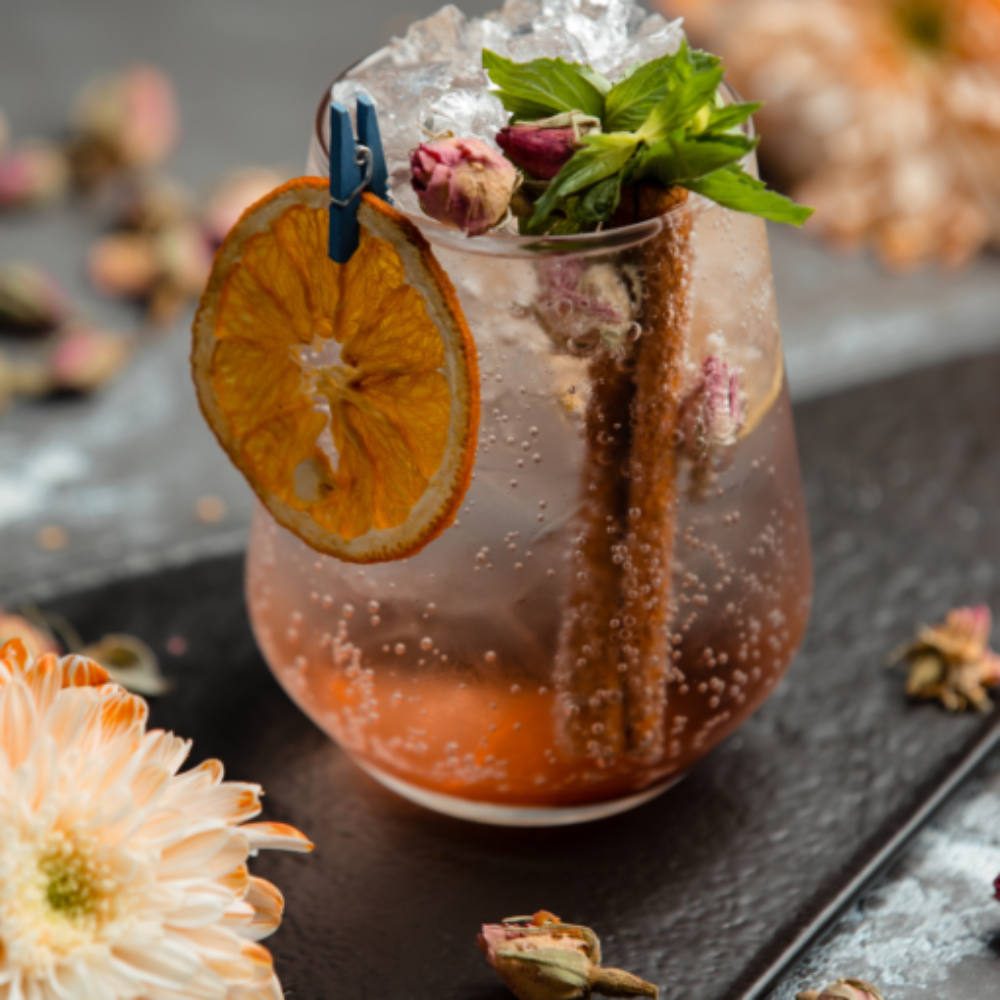 Drink Botanicals Ireland - Venta al por mayor Fruta deshidratada - Rodajas de naranja deshidratada7