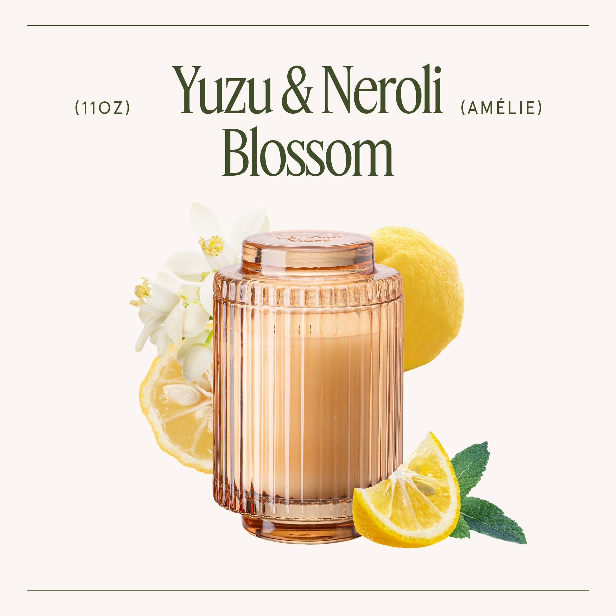 La Jolie Muse - Wholesale Jar/Filled Candle - Scented Candle - Yuzu & Neroli Blossom - 11oz | LJM2