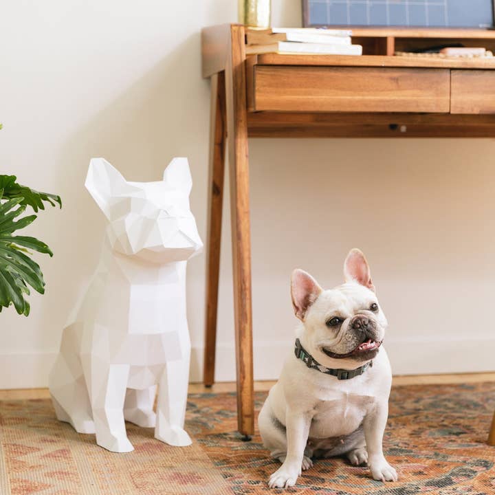 Abstract Home Art - Wholesale Decorative Tabletop Object - Max - French Bulldog - W / Home Décor, Storage Bin, Trashcan4