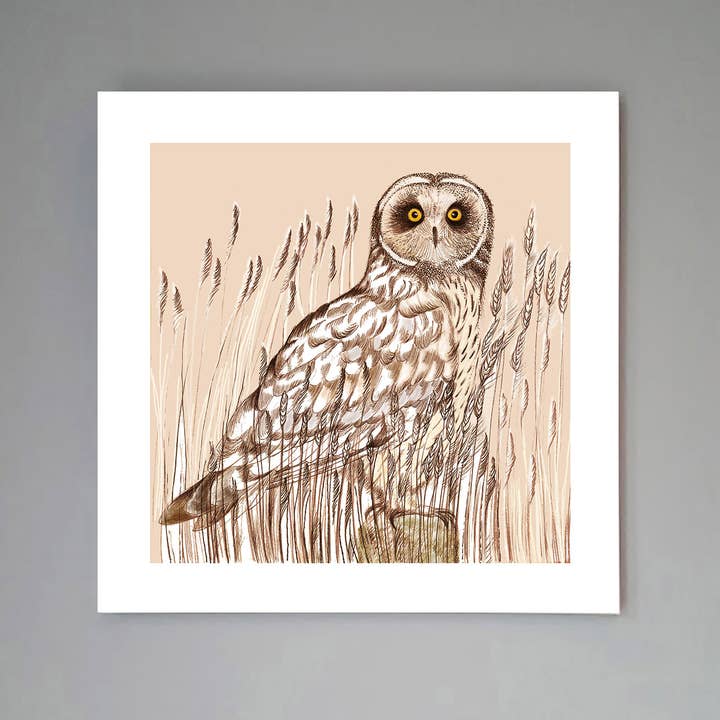 'Short Eared Owl' Konsttryck för wholesale av Fay's Studio