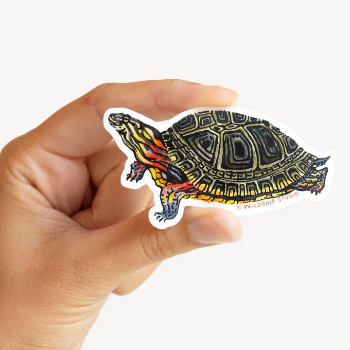 Wildship Studio - Wholesale Sticker - Painted Turtle Sticker1
