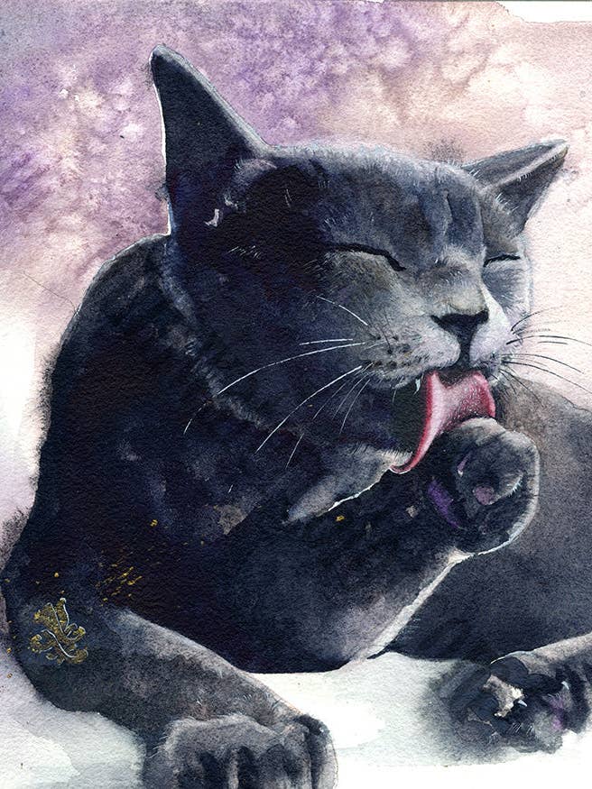 Black Cat - Pet Collection Print for wholesale by Dream In Watercolor