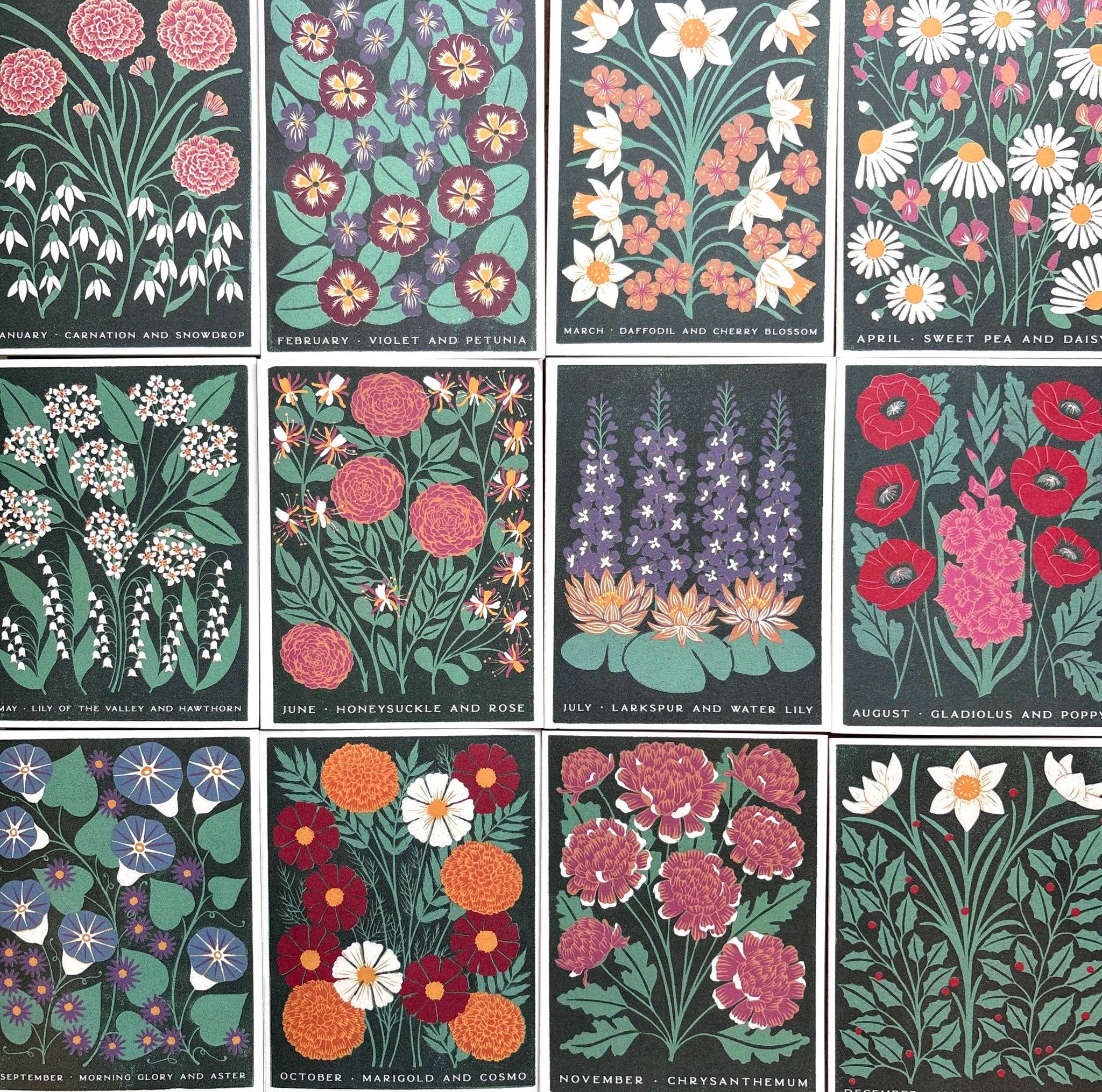 Katharine Watson - Wholesale Everyday Greeting Card - Birth Month Flowers: January Greeting Card7