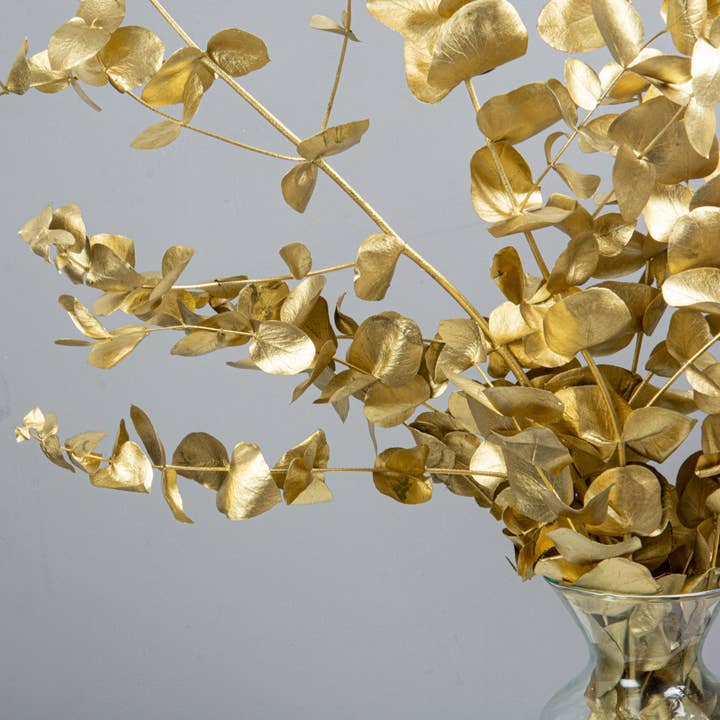 Oro di eucalipto per la vendita all'ingrosso da parte di pampas studio uk