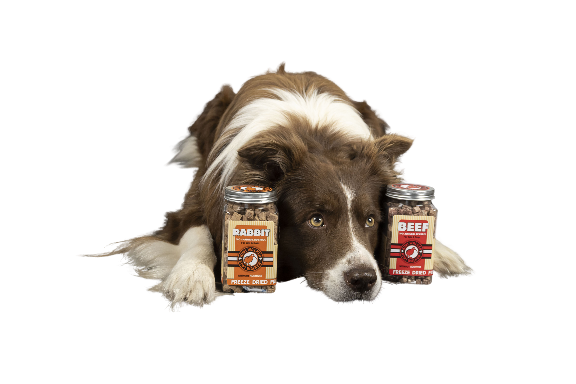 OFiuFiuPL - Wholesale Pet Treats - Dog - Kiwi Walker 100% Beef Feeze Dried Treats 40g1