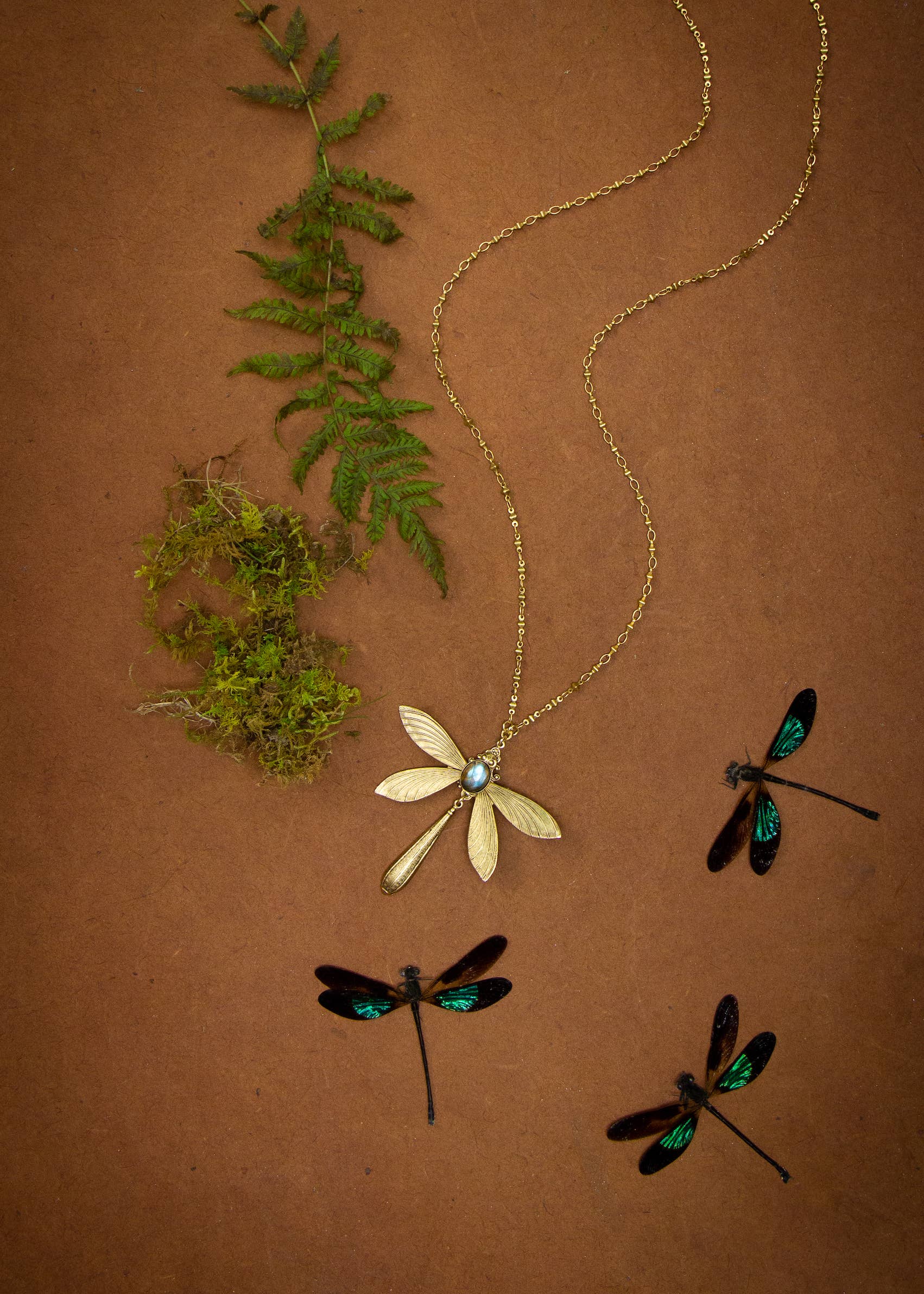 Trollbinde – Großhandel Kette mit Anhänger/Charm – Amulett der Morgendämmerung der Libellen1