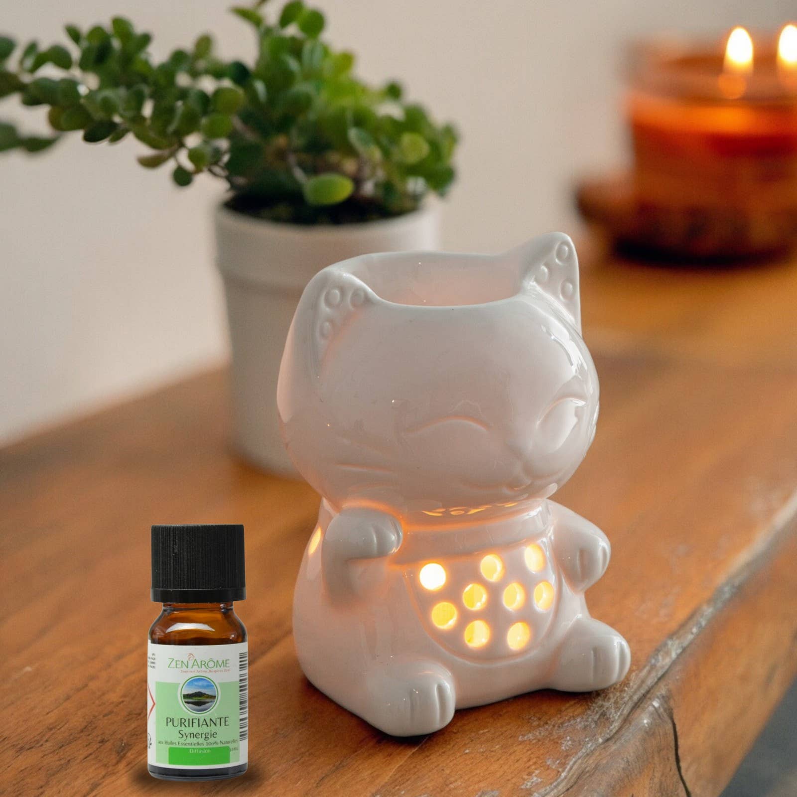 Zen'Arôme - Wholesale Oil Warmer - Ceramy Tommy the Cat Fragrance Burner – Melts Burner9