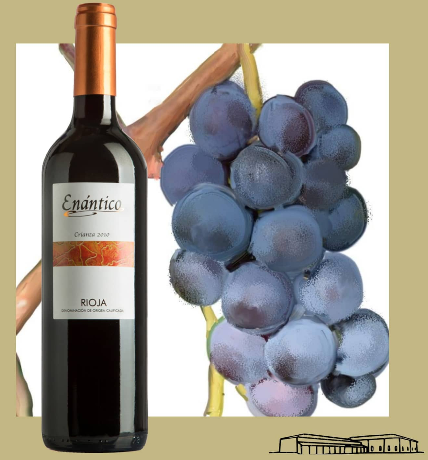 Viñedos y Bodegas Lyng – Vinho tinto por atacado – Vinho tinto Crianza D.O.Ca. Rioja Enántico6