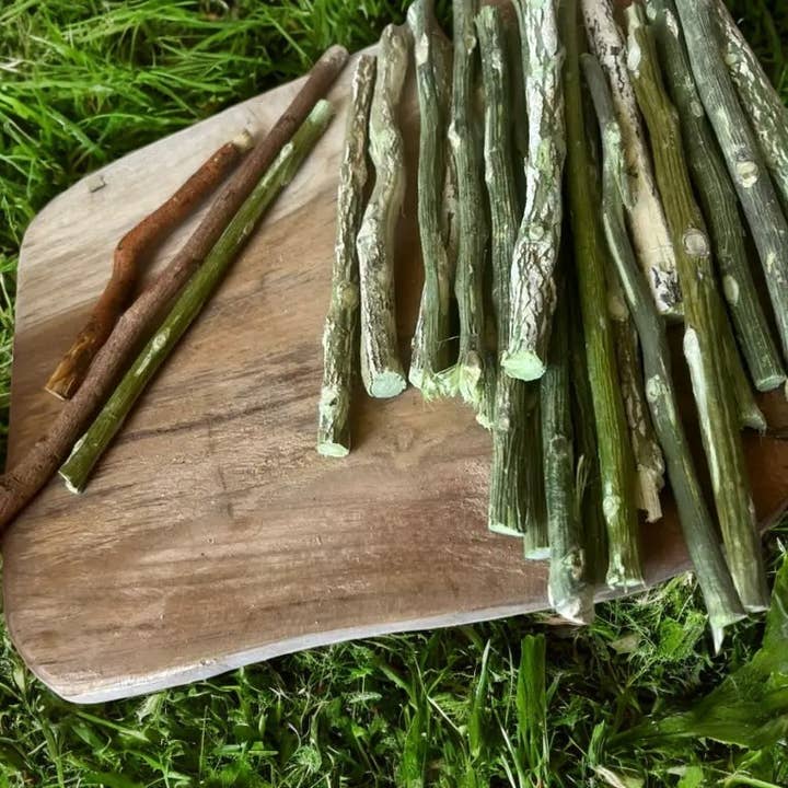 10 Balanites (Sump) wooden toothpicks for wholesale by ELITEA