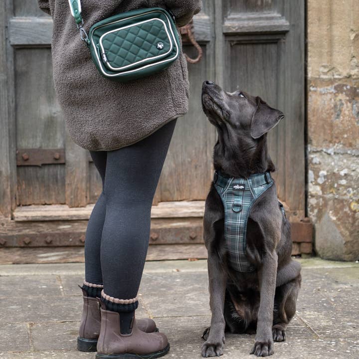 The aDoraBle Pooch Company - Wholesale Pet treat bag – Dog - Quilted Dog Walking Shoulder Bag - Hunter Green3