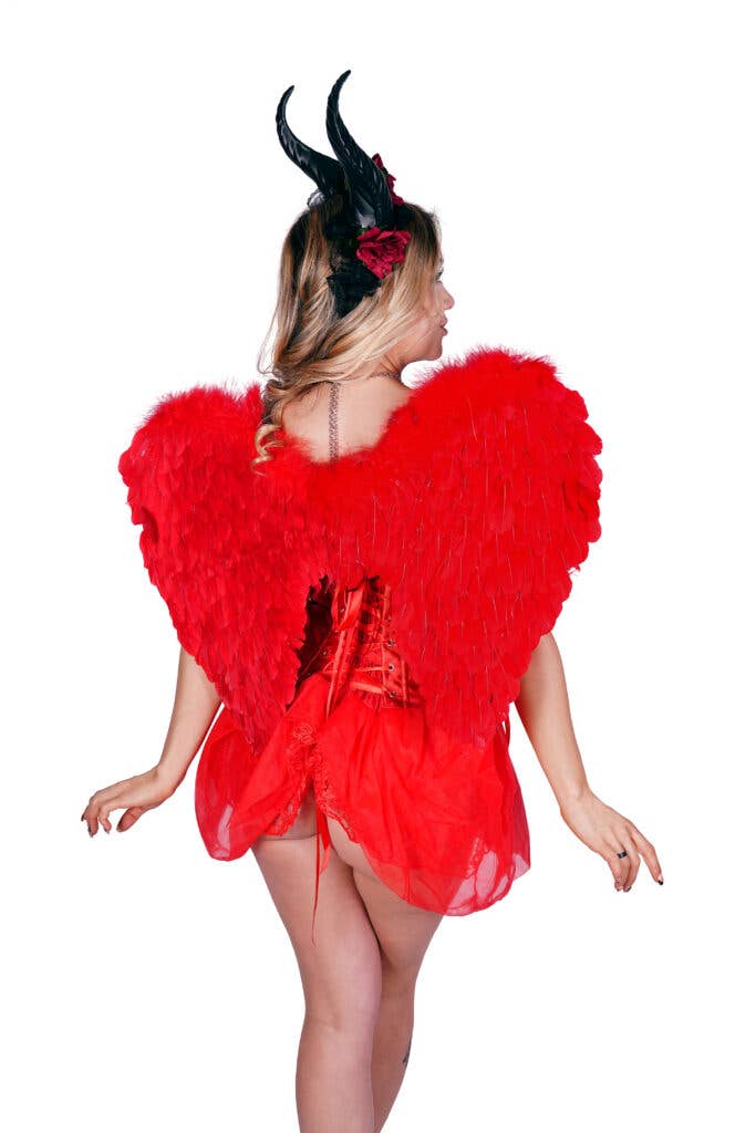Western Fashion - Wholesale Costume - Women's - 63009 - Wings13
