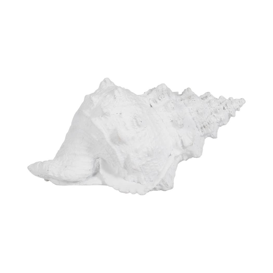 Sagebrook Home - Wholesale Decorative Figurine - Figurine - White Resin Coastal Solid Conch Shell, 10 in.4