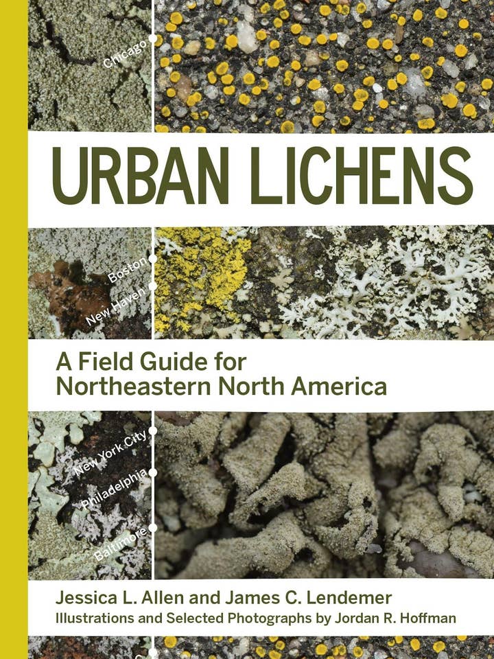 Urban Lichens: A Field Guide For Northeastern North America for wholesale by Texas Bookman