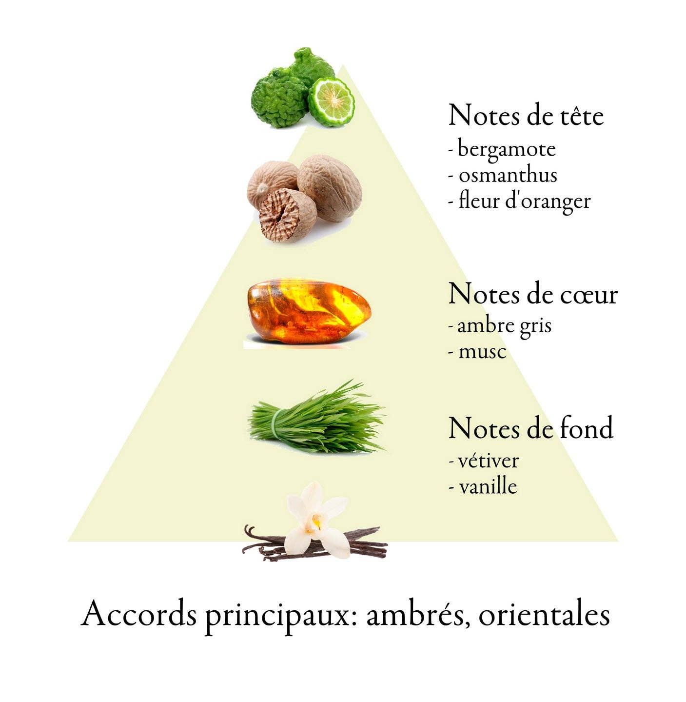 FAMILLE GRASSE PARFUMS - Wholesale Perfume/Eau de Toilette - MON AMIE eau de parfum for women 50ml2