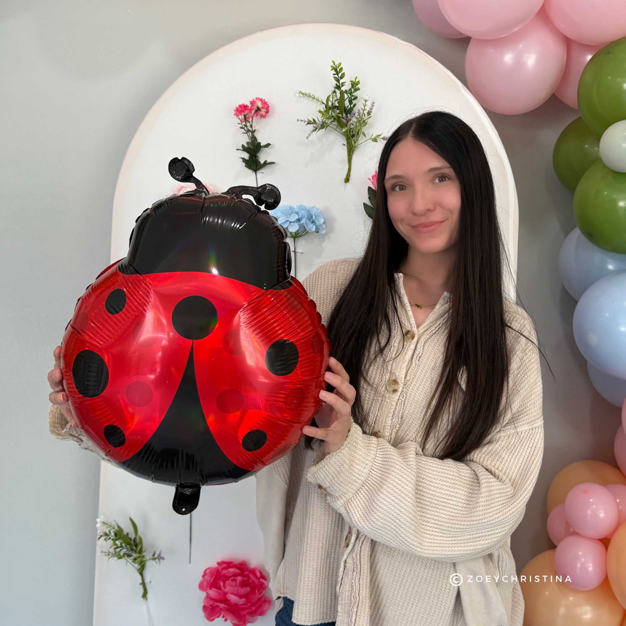 Zoey Christina - Wholesale Balloon - Ladybug Foil Balloon – Garden, Bug & Spring-Themed Party 4