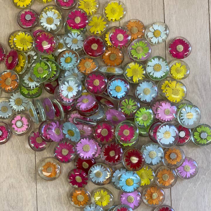 Sunnie Lane - Wholesale Magnet - Real Flower Magnet - Glass Magnet