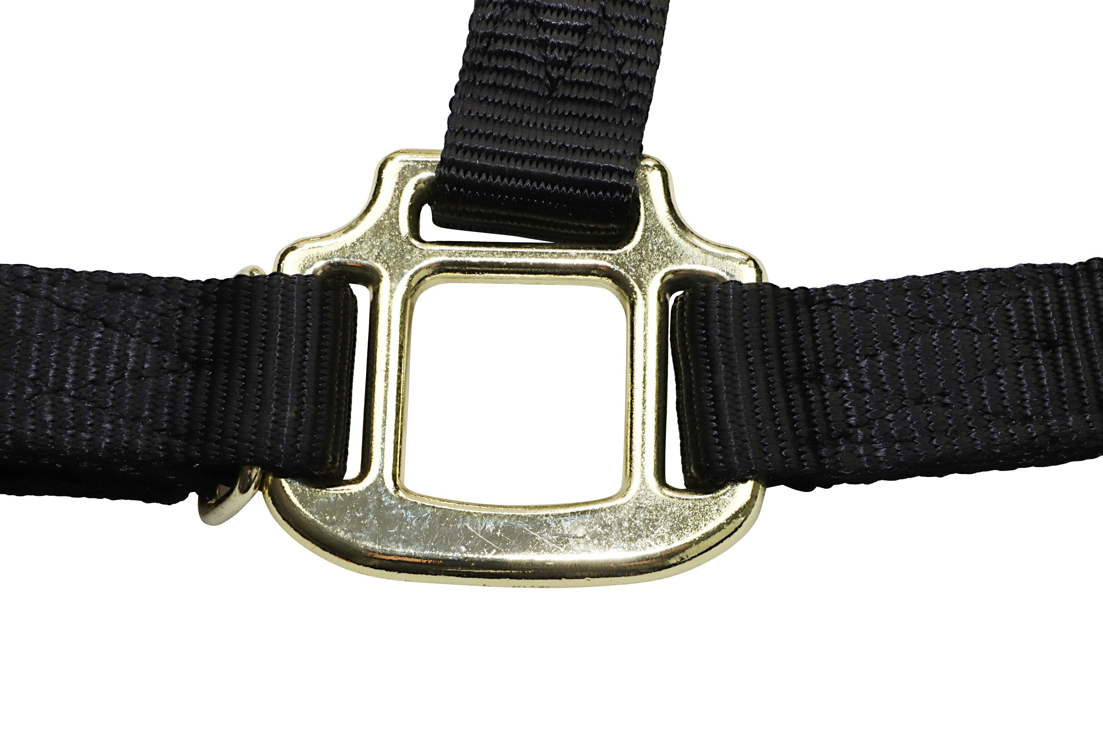 Grewal Equestrian - Wholesale Paardrijuitrusting - Nylon hoofdstellen voor paarden1