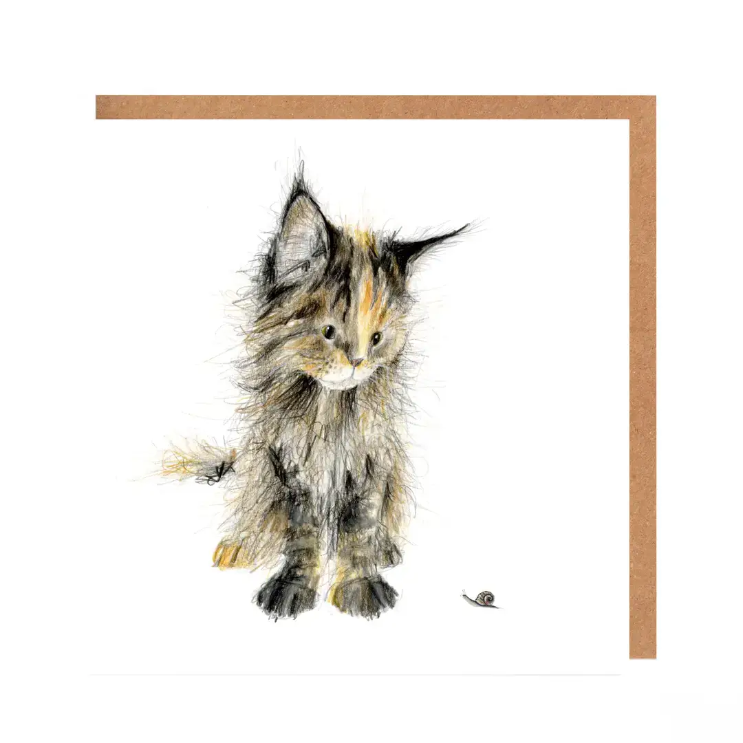 Catherine Rayner Trading Ltd – wholesale Birthday card – Quick Buy  - Bestseller Multipack of 60 cards6