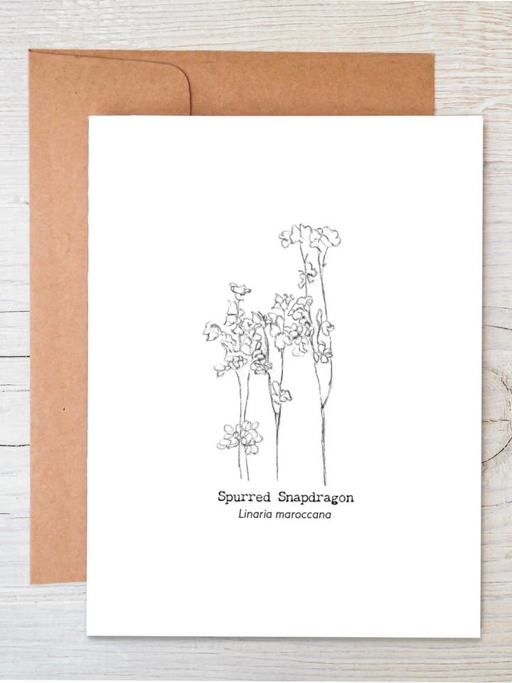 Plantable Wildflower Cards | Eco Variety Pack | Notecard Set for wholesale by The Raven’s Edge Studio