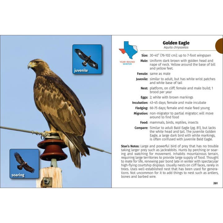 AdventureKEEN - Wholesale Nature Guide - Birds of Texas Field Guide 2e