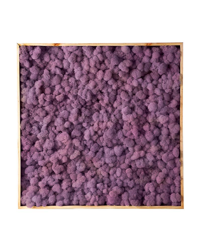 SuperMoss - Wholesale Wall Accent - Vertical Gardens - Reindeer Moss Walls8