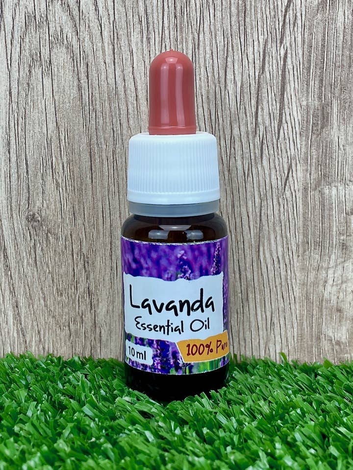 Olio essenziale di Lavanda officinalis, 10ml per la vendita all'ingrosso da parte di Erbe di Mauro