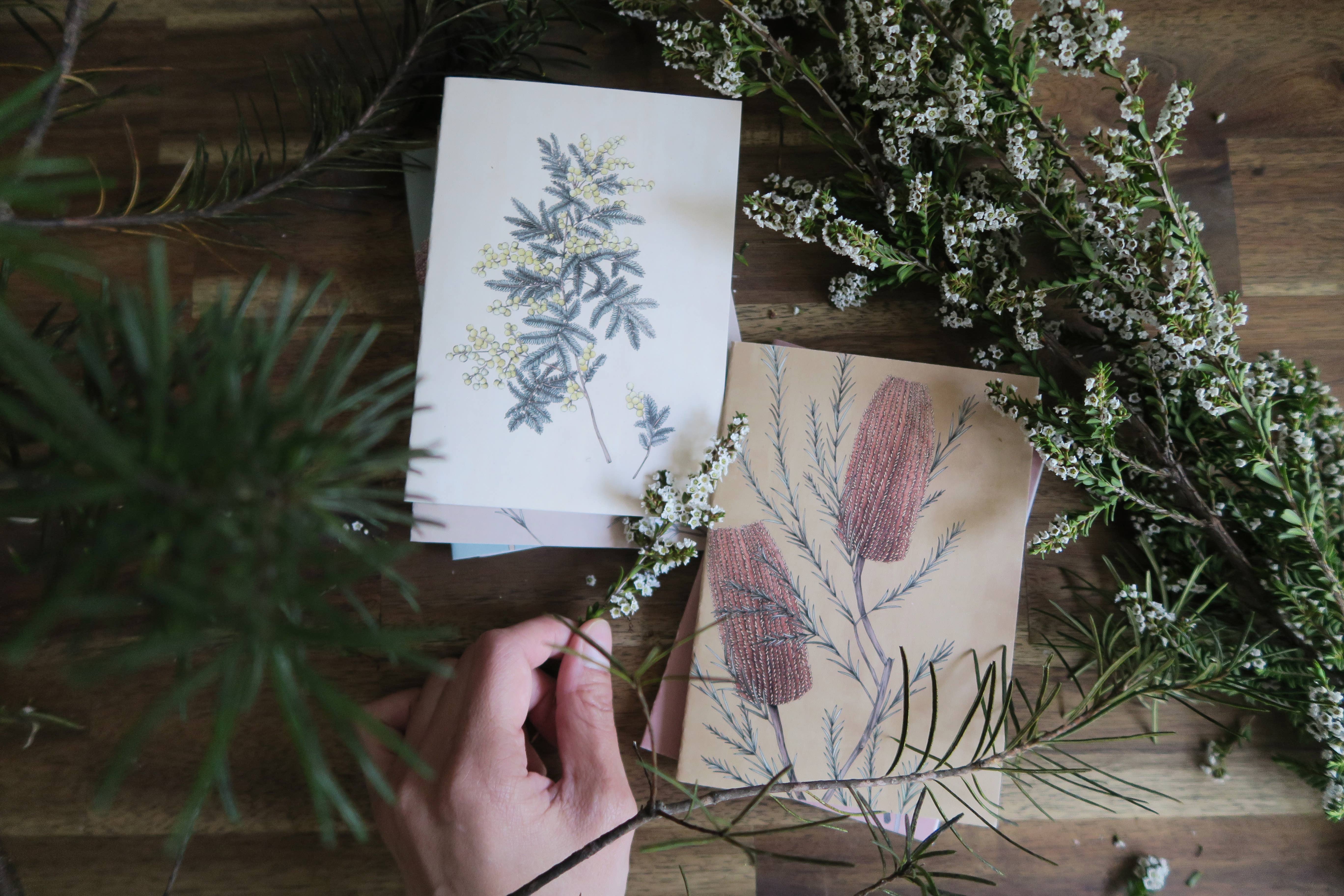 Typoflora - Venta al por mayor Tarjetas de felicitación - Tarjeta con retrato de Wattles1