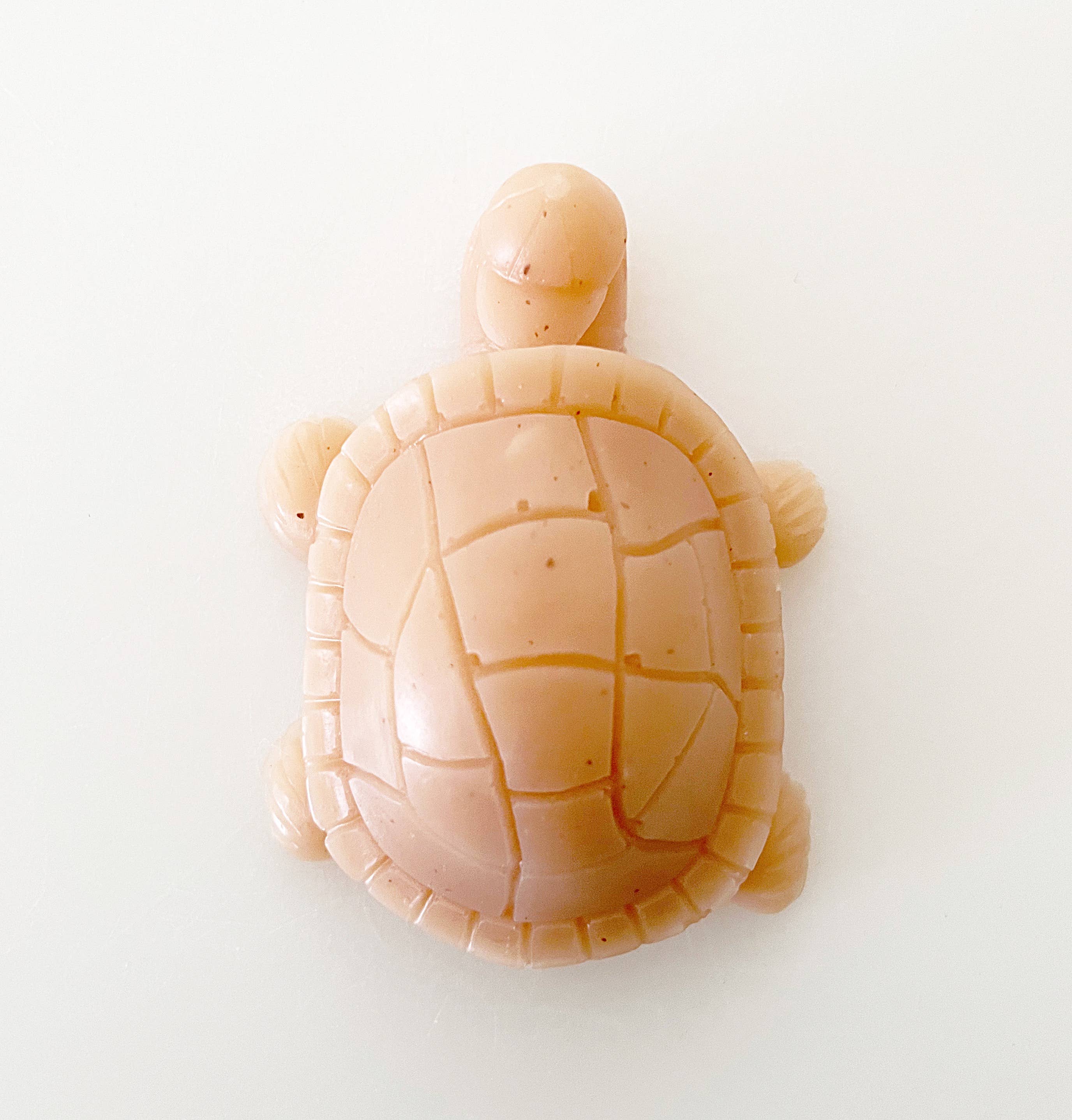 Paper Soap Co – sabonete sólido por atacado – Turtle - Sabonete - Embrulhado10