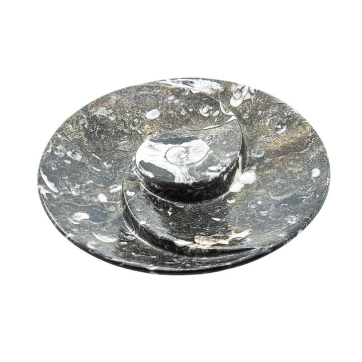 Quasar Gems USA - Wholesale Sculpture - Ammonite Fossil Plate Round Spiral 18cm1