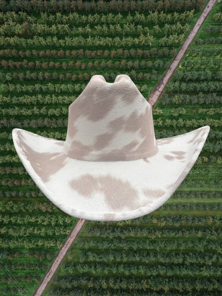 Dairy Cream for wholesale by ZANDRIA