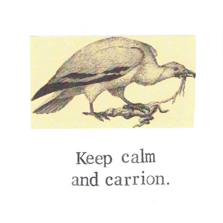 BlueSpecsStudio – wholesale Vardagliga hälsningskort – Behåll lugnet och kadaver Gam Card | Roligt Bird Humor Gotiska Pun Card