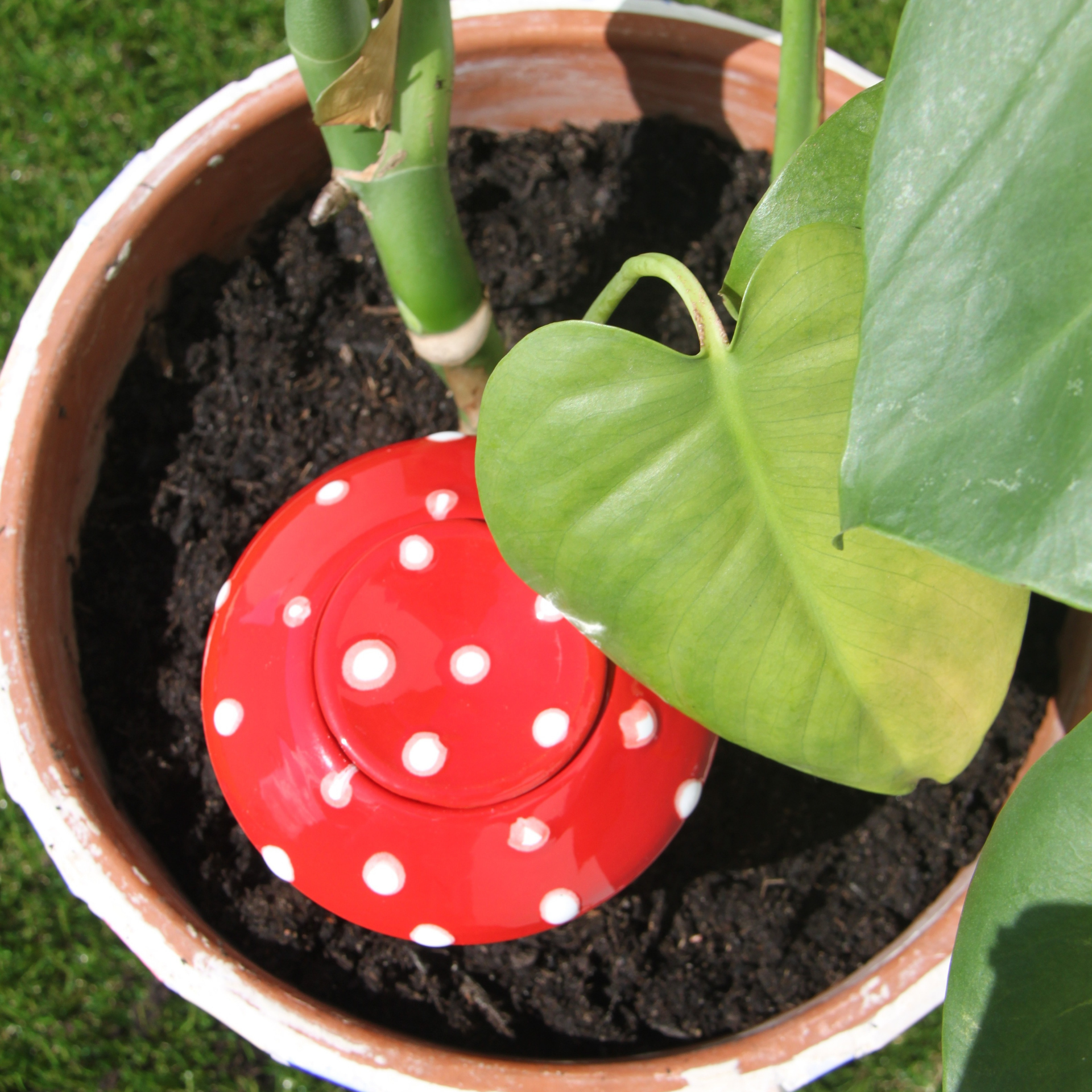 Poterie lutton - Wholesale Watering Can - Ollas Bolet7